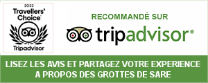 Our reviews on Tripadvisor
