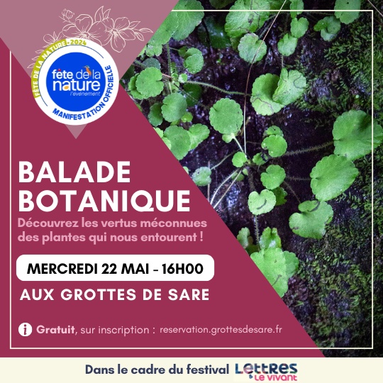 COMPLET - Sortie botanique