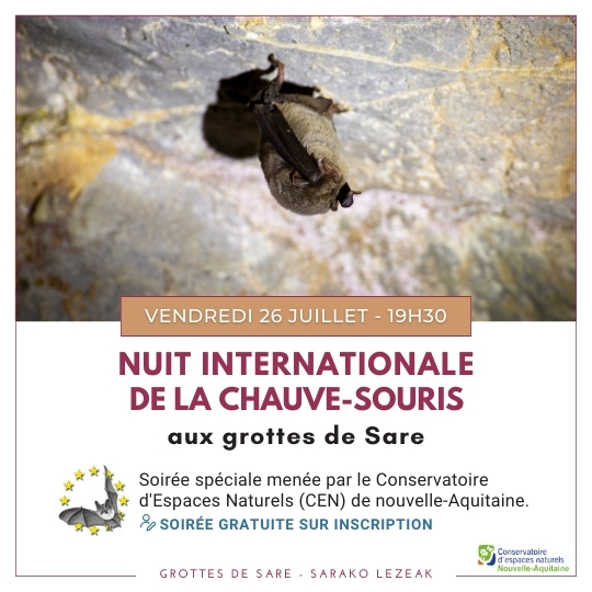 Nuit internationale de la chauve-souris - COMPLET