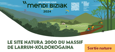 Le site Natura 2000 du Massif de Larrun-Xoldokogaina